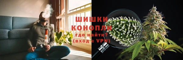 стаф Ладушкин
