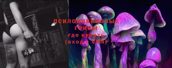 стаф Ладушкин