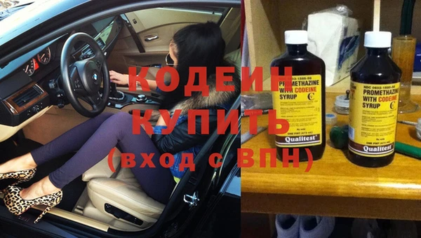 стаф Ладушкин