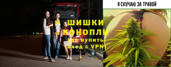 стаф Ладушкин